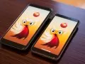 Décryptage des nouvelles fonctionnalités d’iOS 15 et Android 13